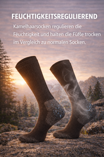 Roughstuff Frostknecht Kamelhaarsocken (Vorverkauf)